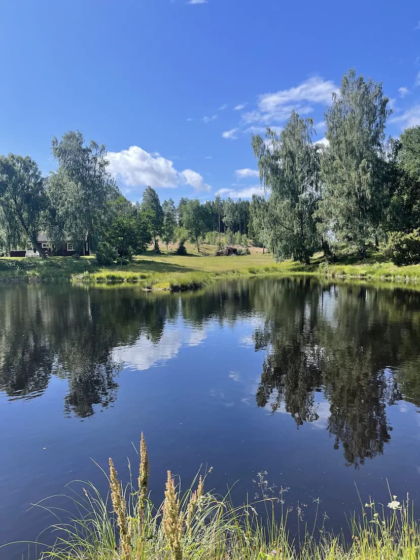 Flugfiskedammarna vid Sämsholm