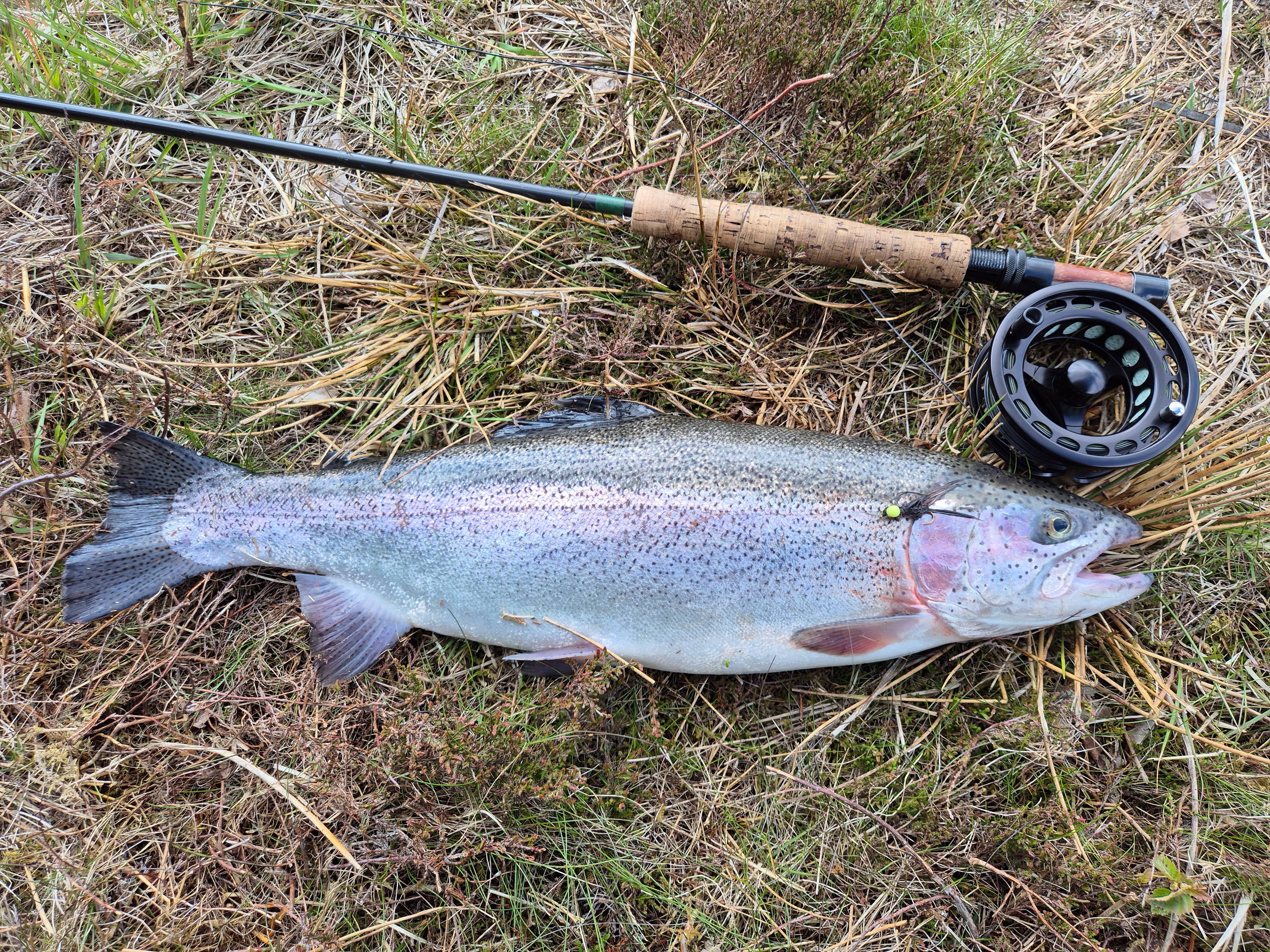 Catch by angler