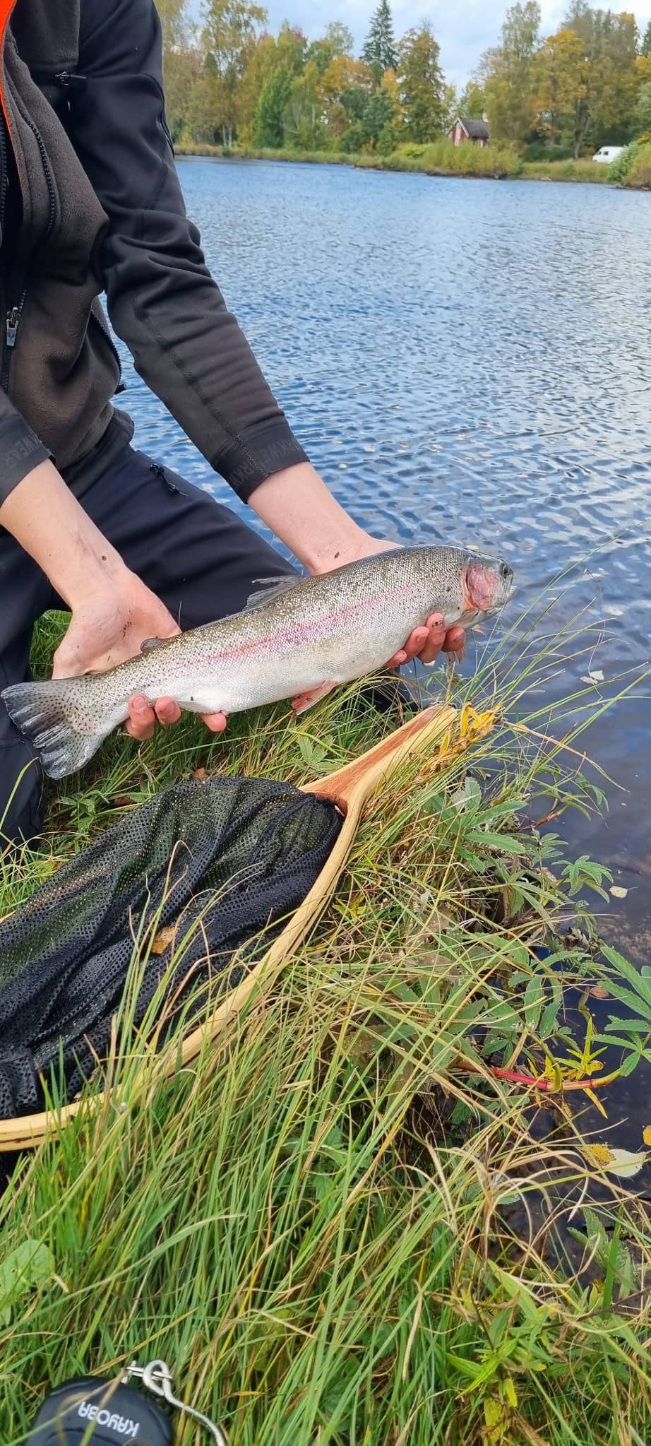 Catch by Hugo